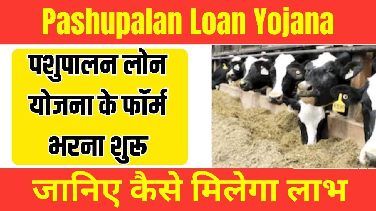 Pashupalan Loan Yojana